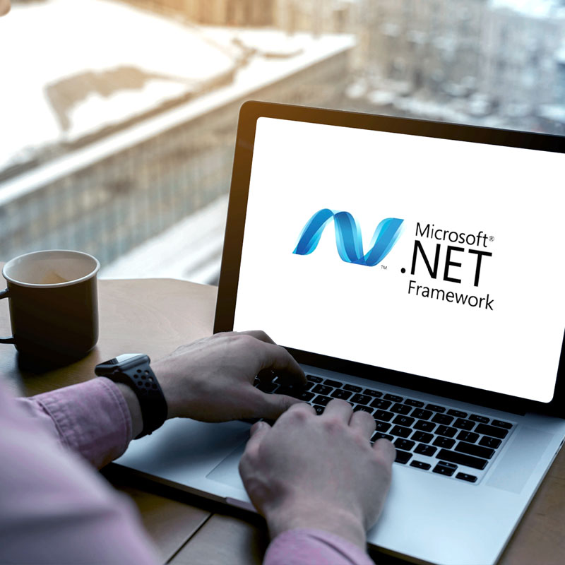 .NET Development Services