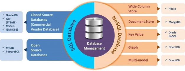 What to Look for in a Database Service Provider - Briskwin