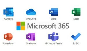Microsoft consultants