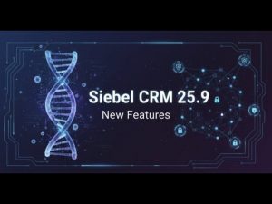Siebel CRM 25.9