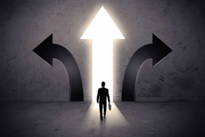 facing career direction choices